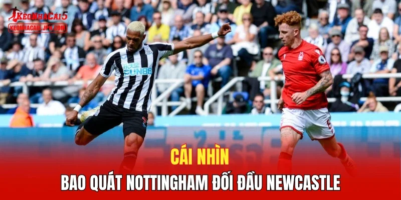 Cái nhìn bao quát Nottingham đối đầu Newcastle 