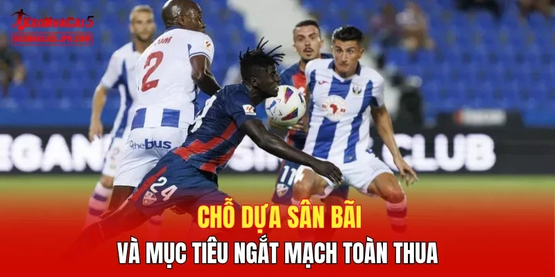 Chỗ dựa sân bãi và mục tiêu ngắt mạch toàn thua