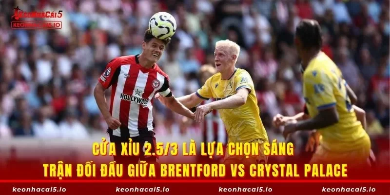 Cửa xỉu 2.5/3 là lựa chọn sáng trận đối đầu giữa Brentford vs Crystal Palace