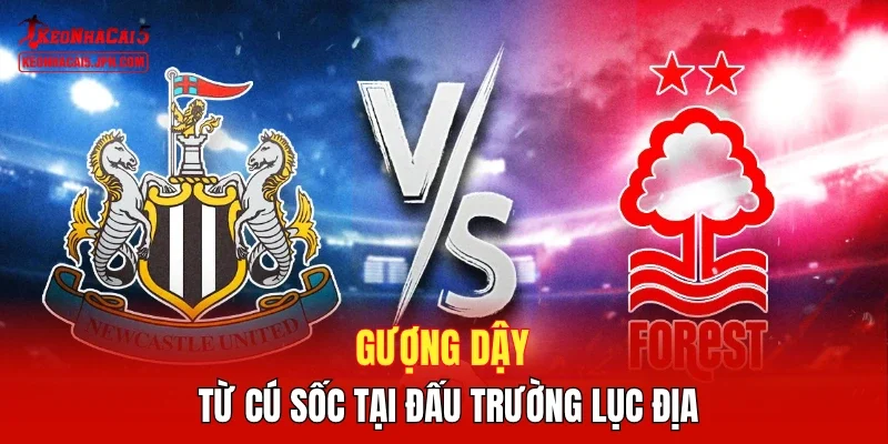 Gượng dậy từ cú sốc tại đấu trường lục địa 