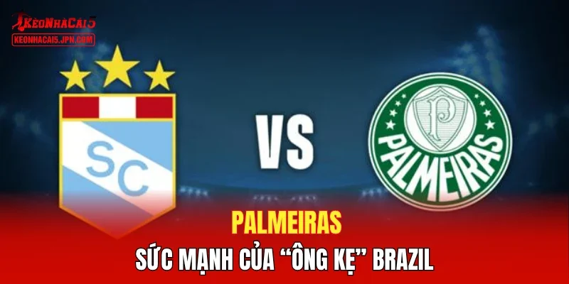 Palmeiras - Sức mạnh của “ông kẹ” Brazil