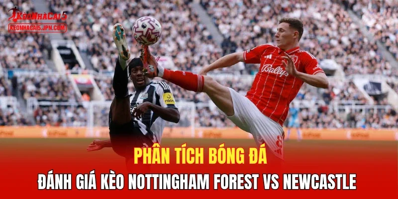 Phân tích bóng đá, đánh giá kèo Nottingham Forest vs Newcastle 