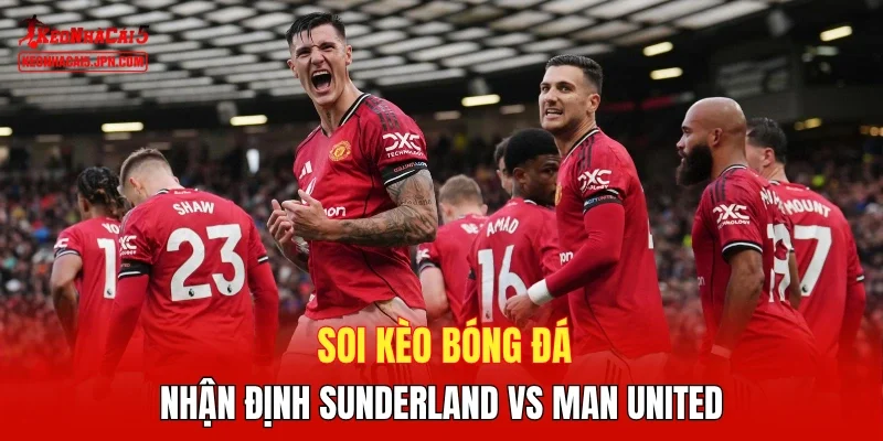 Soi kèo bóng đá, nhận định Sunderland vs Man United