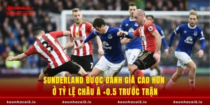 Sunderland được đánh giá cao hơn ở tỷ lệ châu Á +0.5 trước trận