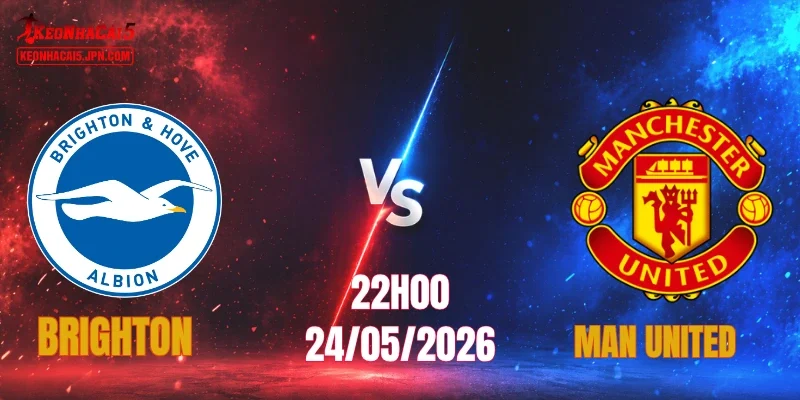 Brighton vs Man United