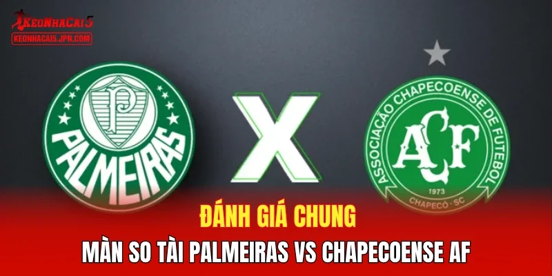 Đánh giá chung màn so tài Palmeiras vs Chapecoense AF
