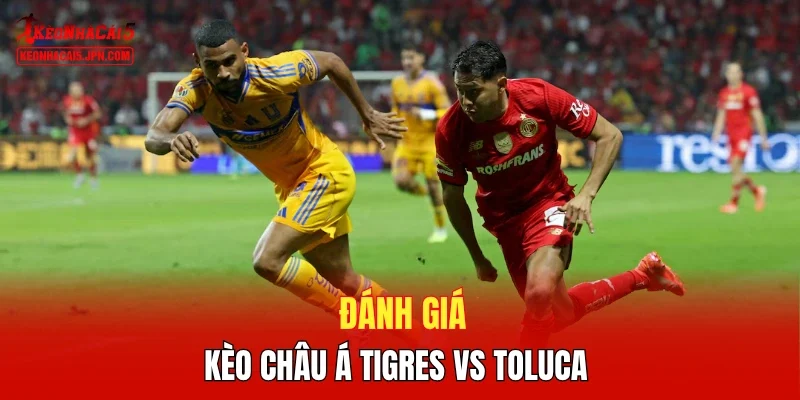 Đánh giá kèo châu Á Tigres vs Toluca