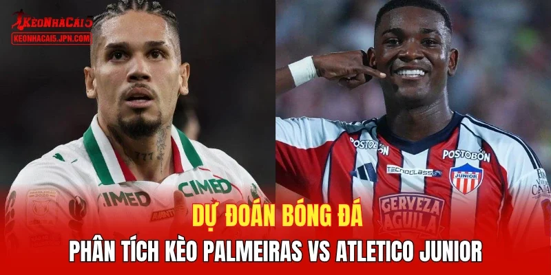Dự đoán bóng đá, phân tích kèo Palmeiras vs Atletico Junior