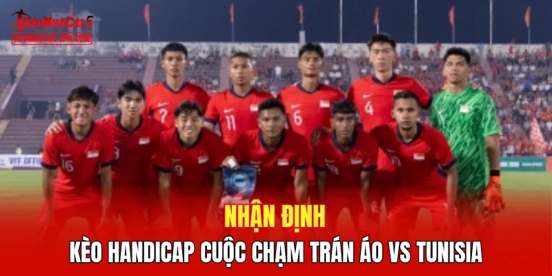 Nhận định kèo handicap cuộc chạm trán Áo vs Tunisia