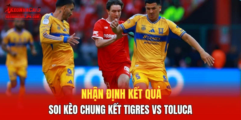 Nhận định kết quả, soi kèo chung kết Tigres vs Toluca