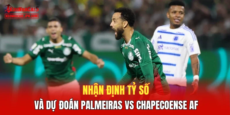 Nhận định tỷ số và dự đoán Palmeiras vs Chapecoense AF
