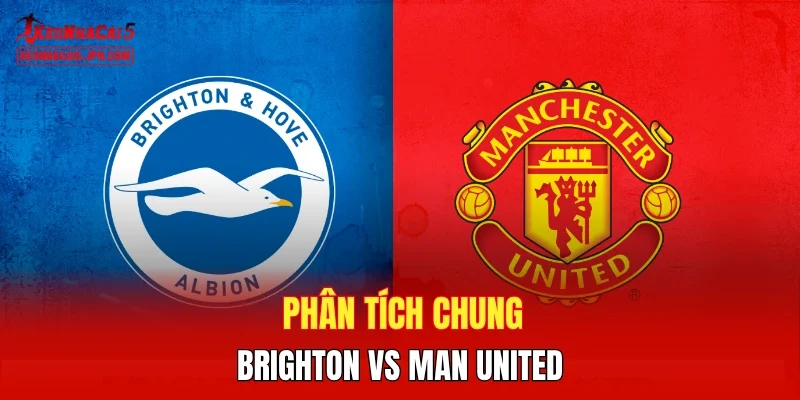 Phân tích chung Brighton vs Man United
