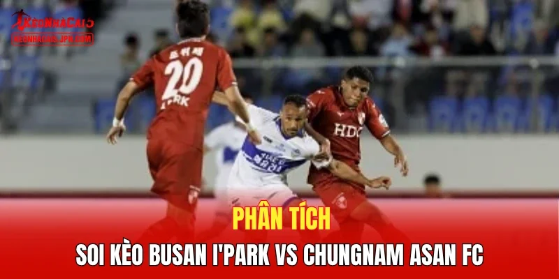 Phân tích, soi kèo Busan I'Park vs Chungnam Asan FC