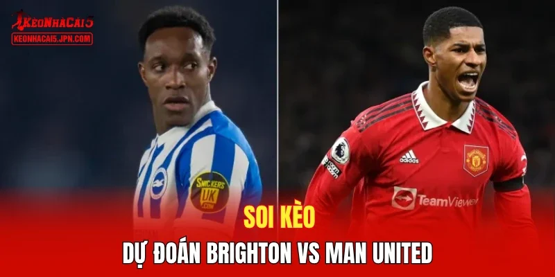 Soi kèo, dự đoán Brighton vs Man United