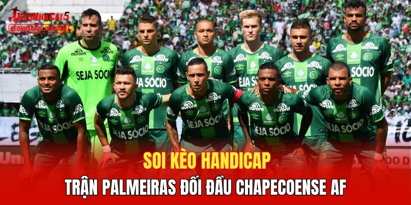 Soi kèo handicap trận Palmeiras đối đầu Chapecoense AF