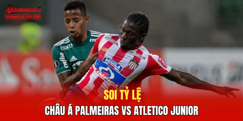 Soi tỷ lệ châu Á Palmeiras vs Atletico Junior