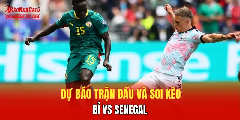 Dự báo trận đấu và soi kèo Bỉ vs Senegal