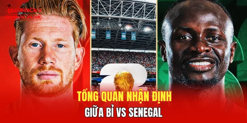 Tổng quan nhận định giữa Bỉ vs Senegal