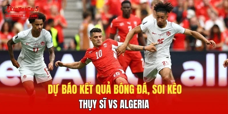 Dự báo kết quả bóng đá, soi kèo Thụy Sĩ vs Algeria