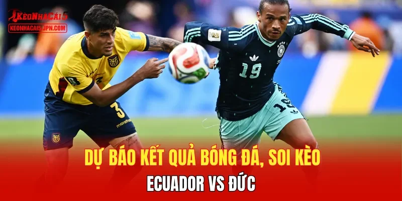 Dự báo kết quả bóng đá, soi kèo Ecuador đối đầu Đức