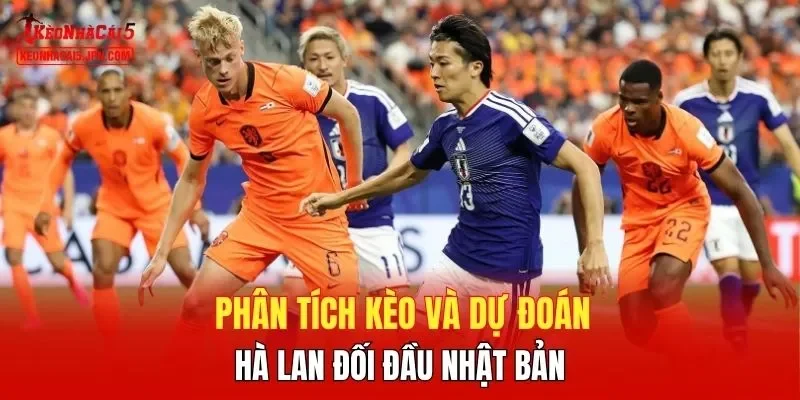 Phân tích kèo và dự đoán Hà Lan đối đầu Nhật Bản