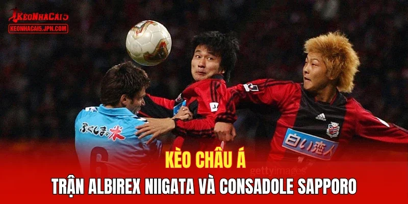 Kèo châu Á trận Albirex Niigata và Consadole Sapporo