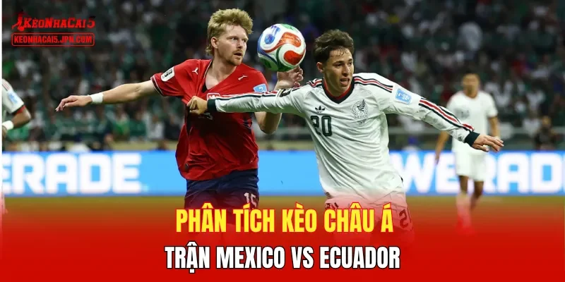 Phân tích kèo châu Á trận Mexico vs Ecuador