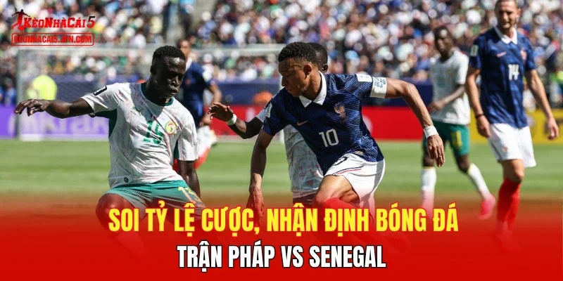 Soi tỷ lệ cược, nhận định bóng đá trận Pháp vs Senegal
