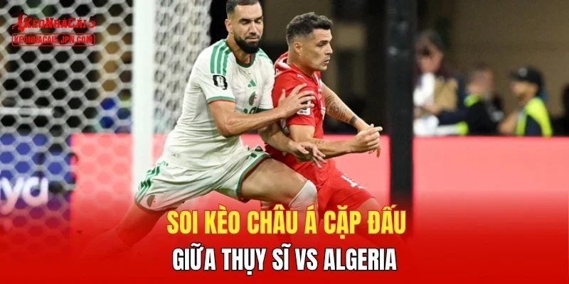 Soi kèo Châu Á cặp đấu giữa Thụy Sĩ vs Algeria