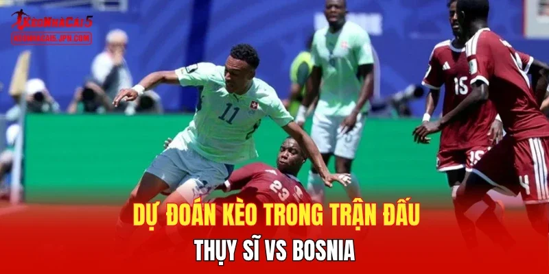 Dự đoán kèo trong trận đấu Thụy Sĩ vs Bosnia