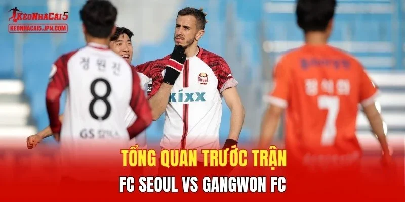 Tổng quan trước trận FC Seoul vs Gangwon FC