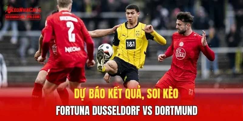 Dự báo kết quả, soi kèo Fortuna Dusseldorf vs Dortmund