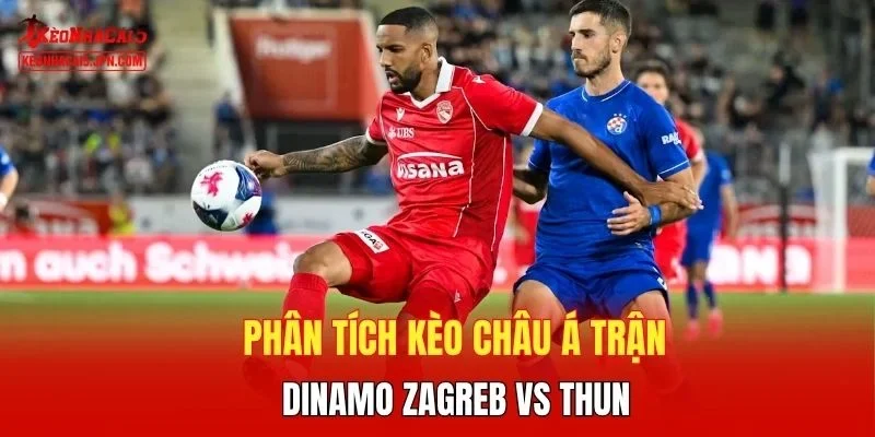 Phân tích kèo châu Á trận Dinamo Zagreb vs Thun
