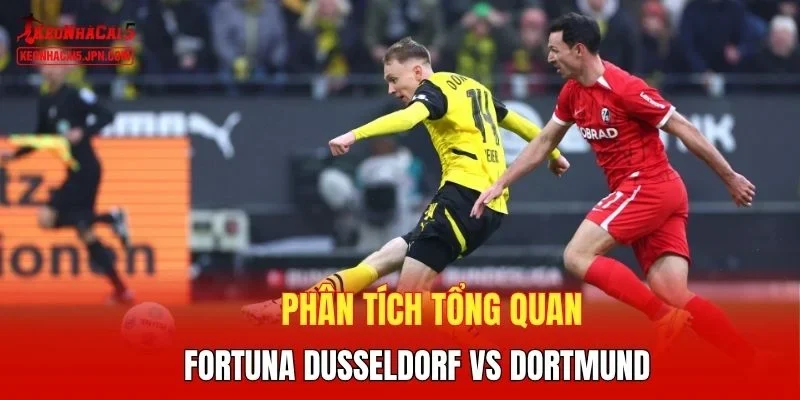 Phân tích tổng quan Fortuna Dusseldorf vs Dortmund