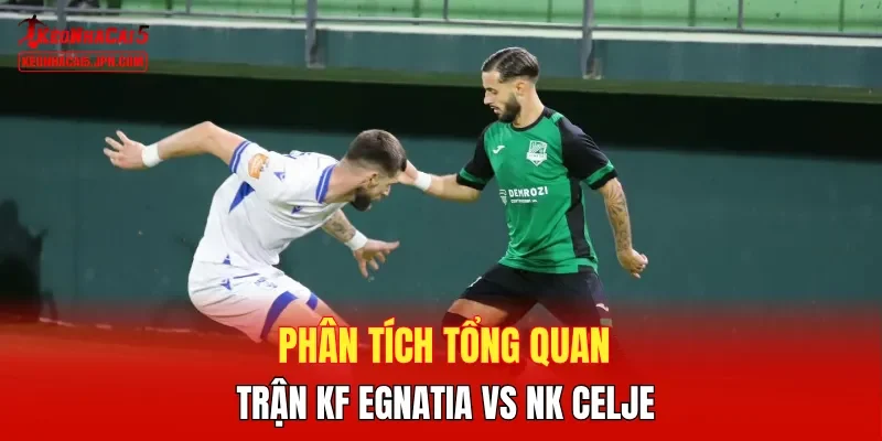 Phân tích tổng quan trận KF Egnatia vs NK Celje