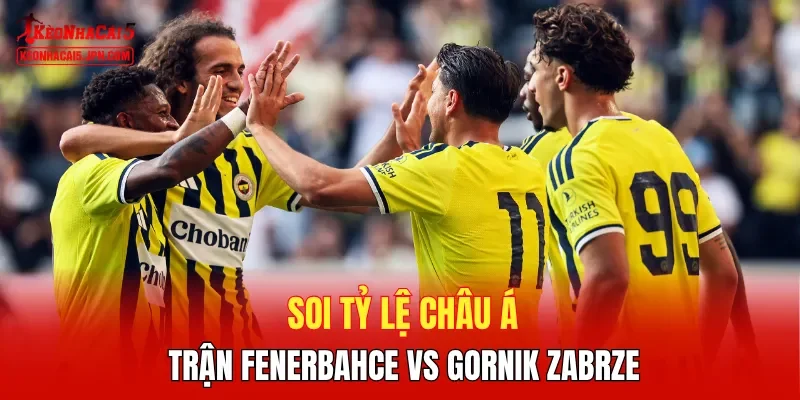 Soi tỷ lệ châu Á trận Fenerbahce vs Gornik Zabrze
