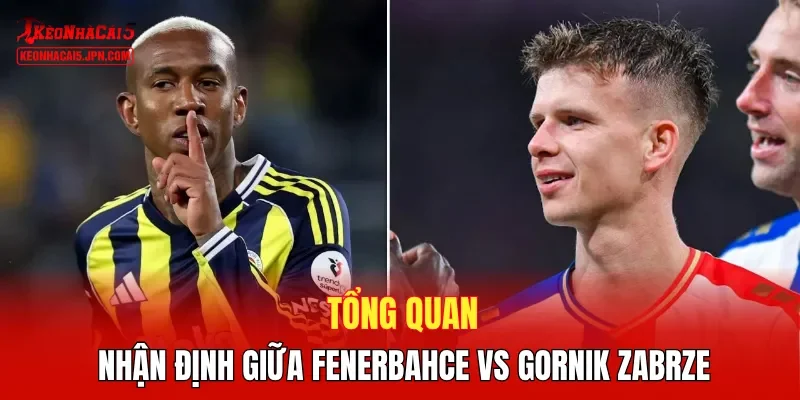 Tổng quan nhận định giữa Fenerbahce vs Gornik Zabrze