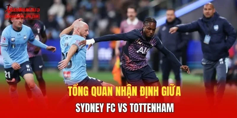Tổng quan nhận định giữa Sydney FC vs Tottenham