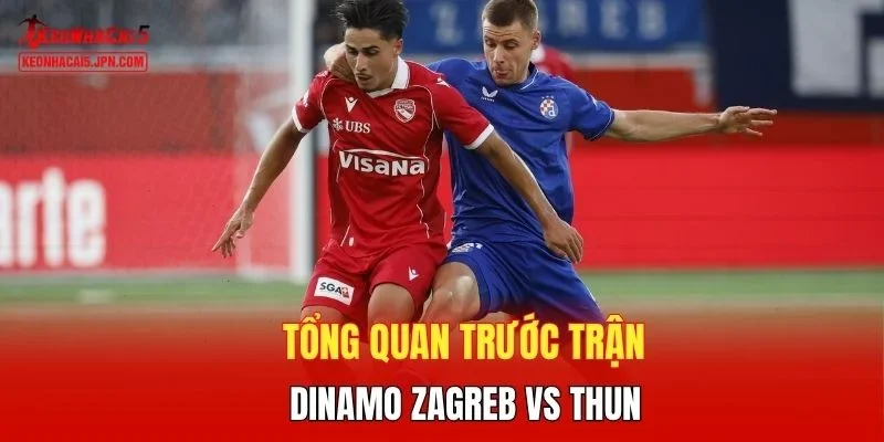 Tổng quan trước trận Dinamo Zagreb vs Thun